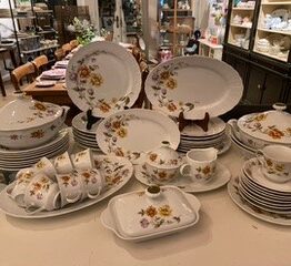 Winterling Bavaria ontbijt en diner servies 8 personen