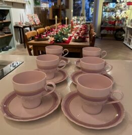 Hutschenreuther 6 stuks koffiekop + schotel & roomstel